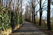 Nel Parco dei Colli anello dal Santuario di Sombreno alla Madonna della Castagna per Colle Roccolone e dei Roccoli il 30 dic. 2017 - FOTOGALLERY